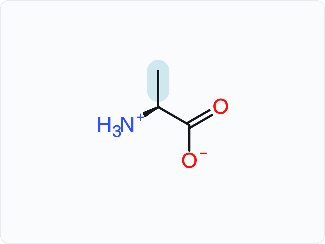 Skeletal structure of alanine (Ala, A) in the form that predominates at pH 7.4, with a protonated amino group (NH3+) at left and a carboxylate (COO−) at right; the side chain (R group) is shaded and drawn with heavier bonds.