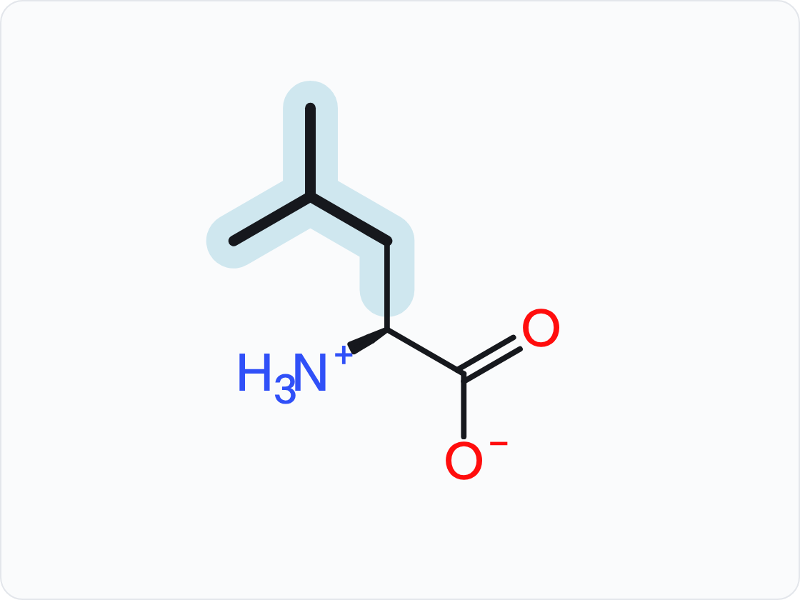 Skeletal structure of leucine (Leu, L) in the form that predominates at pH 7.4, with a protonated amino group (NH3+) at left and a carboxylate (COO−) at right; the side chain (R group) is shaded and drawn with heavier bonds.