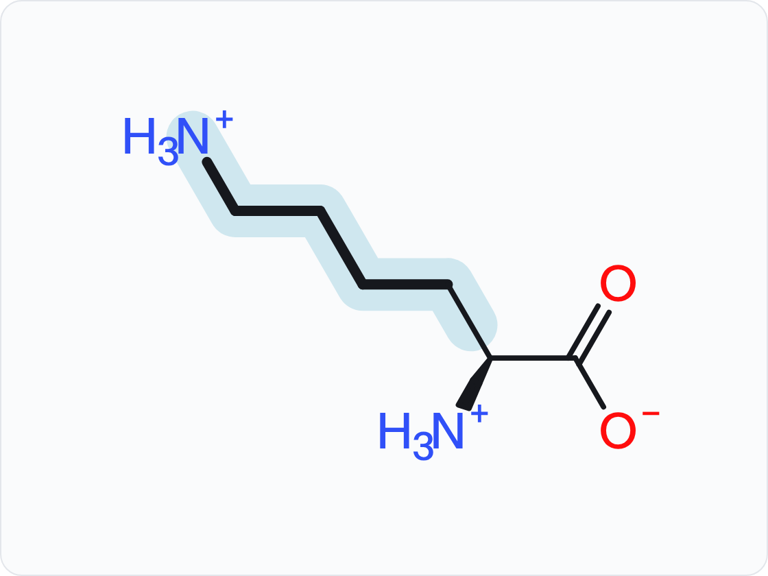 Skeletal structure of lysine (Lys, K) in the form that predominates at pH 7.4, with a protonated amino group (NH3+) at left and a carboxylate (COO−) at right; the side chain (R group) is shaded and drawn with heavier bonds.