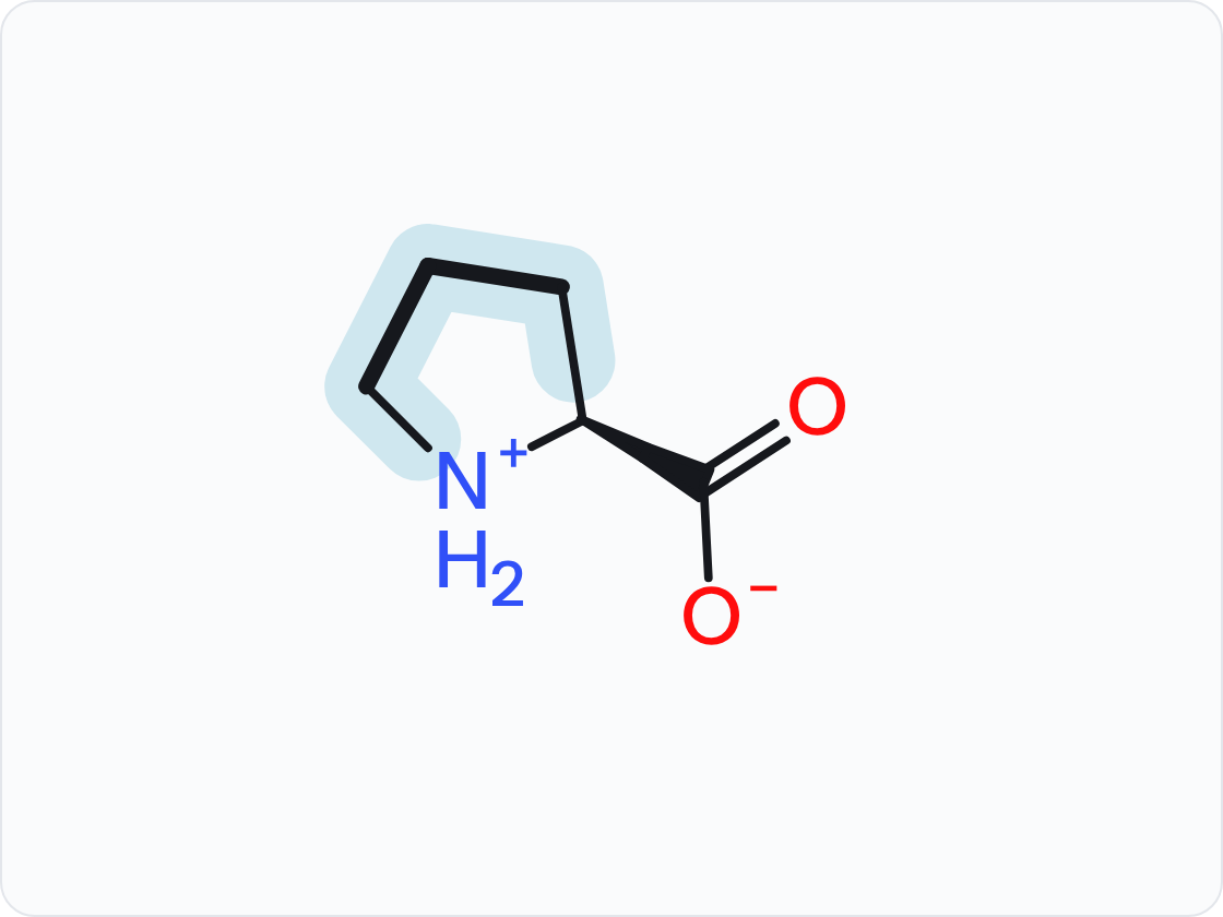 Skeletal structure of proline (Pro, P) in the form that predominates at pH 7.4, with a protonated amino group (NH3+) at left and a carboxylate (COO−) at right; the side chain (R group) is shaded and drawn with heavier bonds.