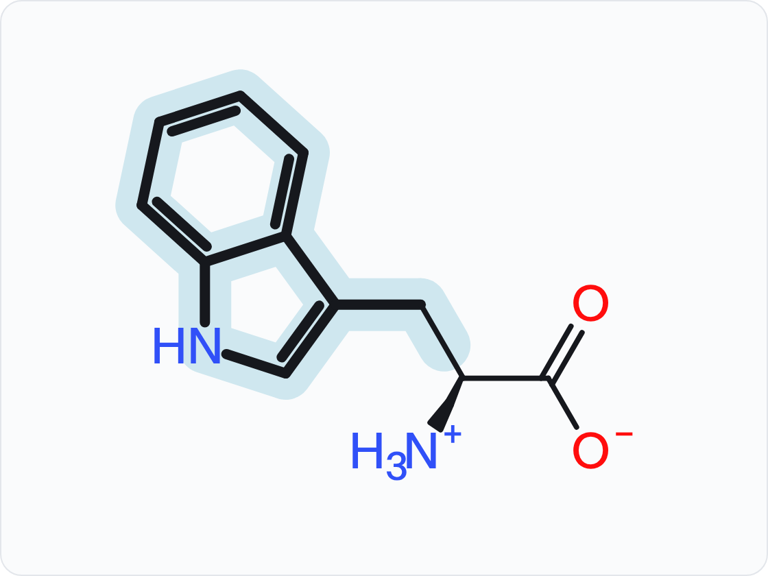Skeletal structure of tryptophan (Trp, W) in the form that predominates at pH 7.4, with a protonated amino group (NH3+) at left and a carboxylate (COO−) at right; the side chain (R group) is shaded and drawn with heavier bonds.