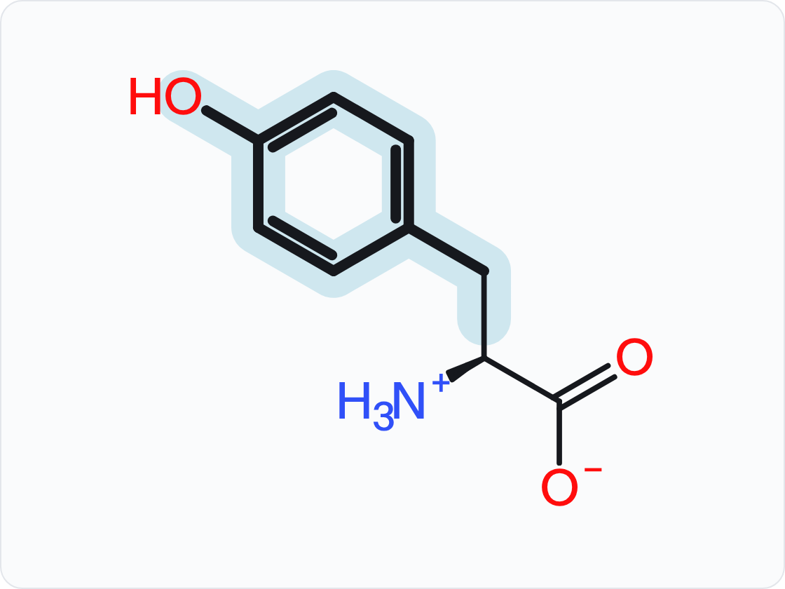 Skeletal structure of tyrosine (Tyr, Y) in the form that predominates at pH 7.4, with a protonated amino group (NH3+) at left and a carboxylate (COO−) at right; the side chain (R group) is shaded and drawn with heavier bonds.